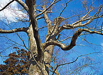 科幻生存恐怖游戏《Satellite Odyssey: Jupiter》Steam页面 发售日待定